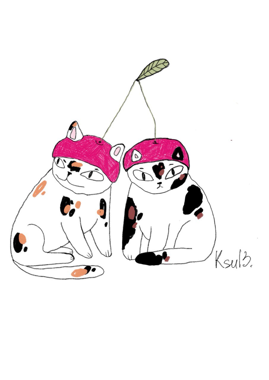 photo 12 2025 08 27 20 36 35