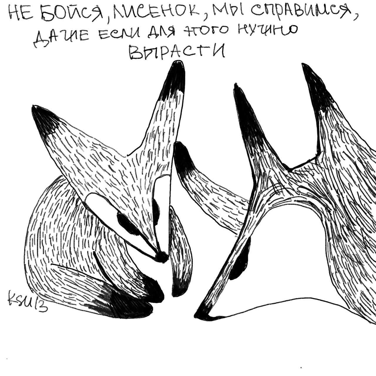 photo 13 2025 08 27 20 36 35