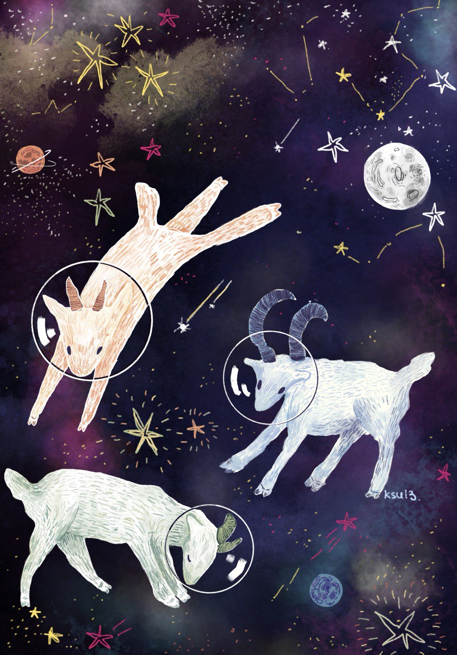 photo 18 2025 08 27 20 34 29