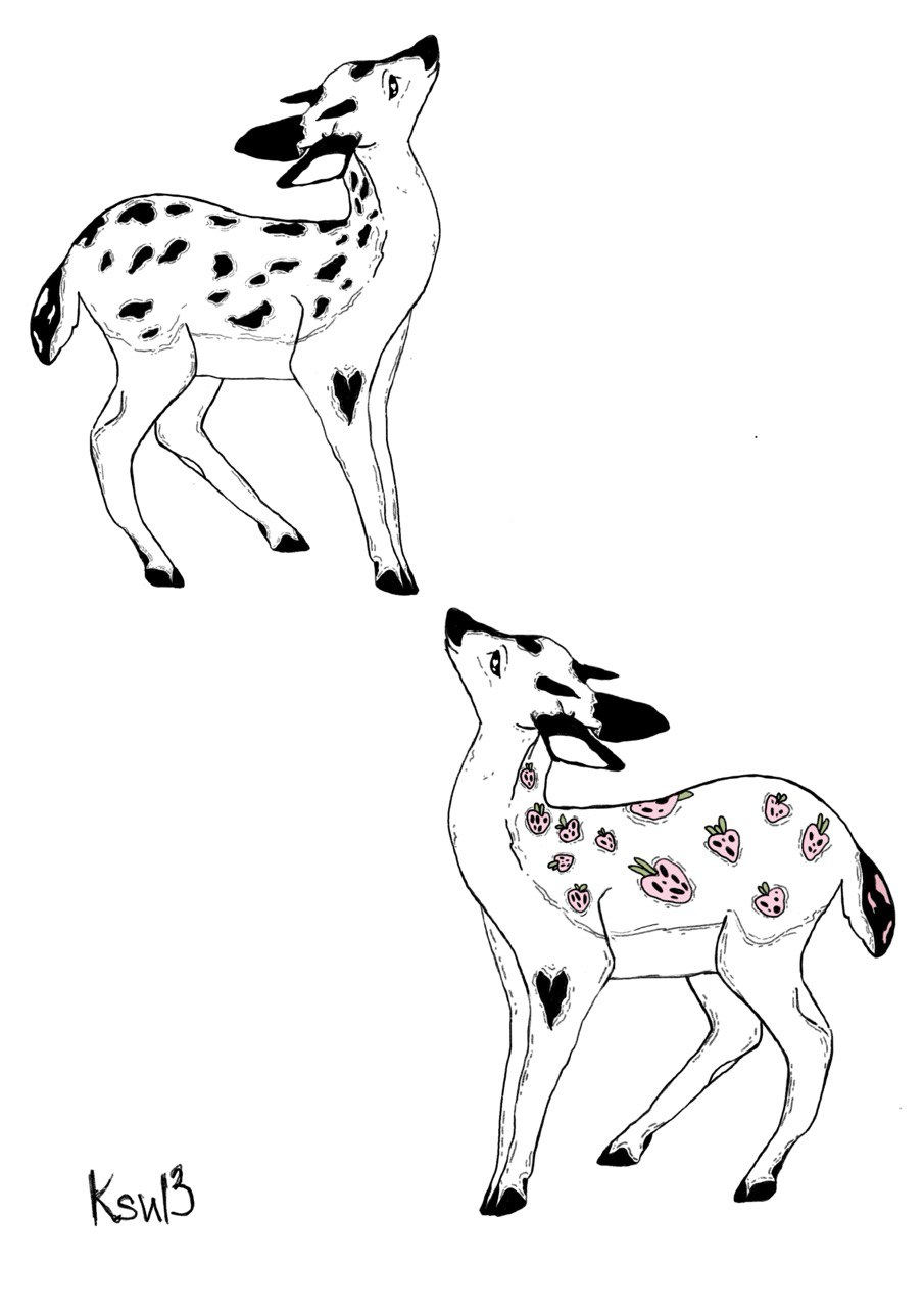 photo 7 2025 08 27 20 36 35